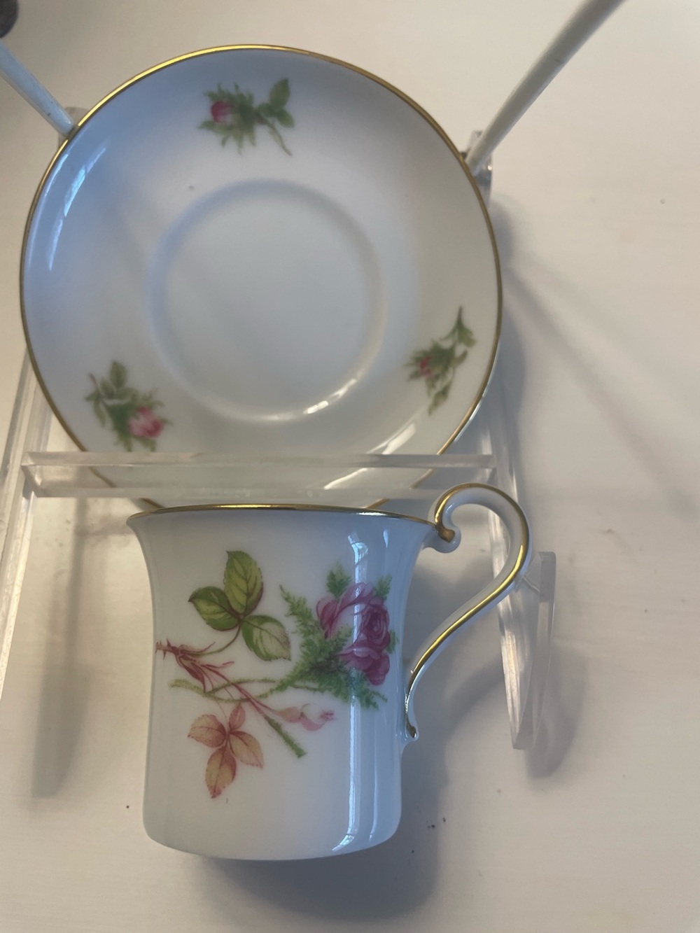 Linder Mini Cup and Saucer Set Moss Rose West Germany 1950’s EUC